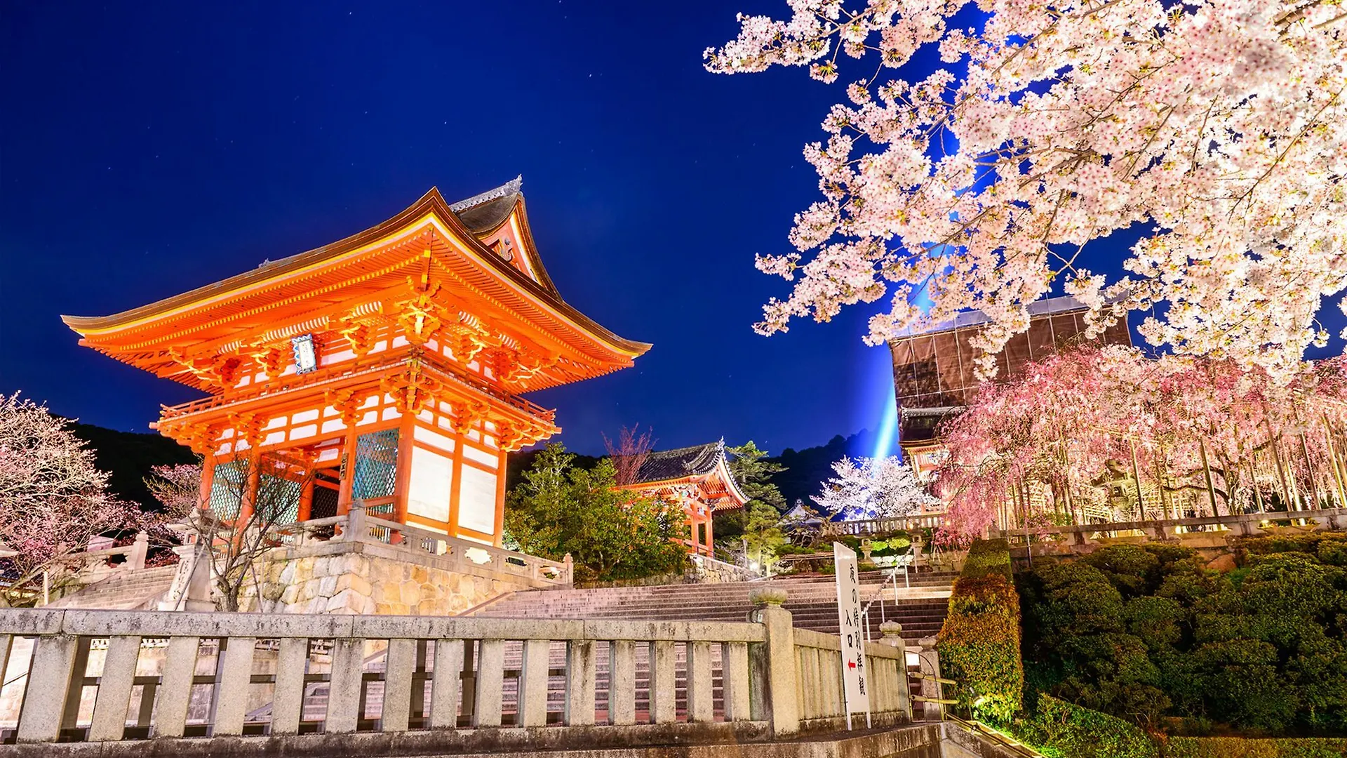 **  Hotel Cocode Plus Osaka Japan